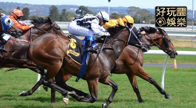 香港賽馬線上投注香港賽馬玩法教學